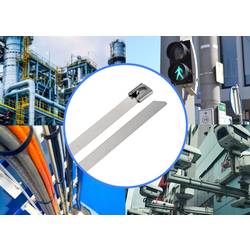 TRU COMPONENTS TC-12659388 TRU COMPONENTS TC-12659388 Ocelové stahovací pásky 290 mm 7.9 mm AISI 304 100 ks 290 mm 7.9 mm AISI 304 100 ks