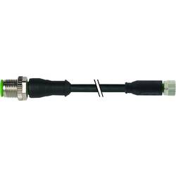 Murrelektronik upravený zástrčkový konektor pro senzory - aktory, 7000-40561-6300500, piny: 3, 5.00 m, 1 ks