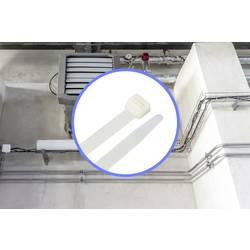 TRU COMPONENTS TC-12626016, stahovací pásky, 12.7 mm, 550 mm, přírodní bílá , HVAC, 100 ks