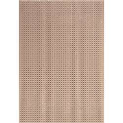 Rademacher WR-Typ 710-5 DPS tvrzený papír (d x š) 16 cm x 10 cm 35 µm Rastr (rozteč) 2.54 mm Množství 1 ks