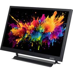 Renkforce RF-PM-240 LED monitor Energetická třída (EEK2021) E (A - G) 60.50 cm (24 palec) 1920 x 1080 Pixel16:95 msHDMI™, BNC, USB, VGA, cinch vstup,