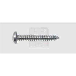 SWG 115391325 šroub do plechu 3.9 mm 13 mm křížová drážka Philips DIN 7981 ocel pozinkované 100 ks