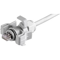 Telegärtner 100023013, 100023013, RJ45 konektor, RJ45, CAT 6A, 1 ks