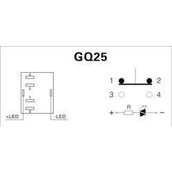 TRU COMPONENTS GQ25-11E/G/12V, 701946 tlačítko antivandal, 25 mm, 250 V/AC, 5 A, 1 ks