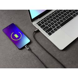 Renkforce USB kabel USB 2.0 USB-C ® zástrčka, USB-C ® zástrčka 0.50 m stříbrná (metalíza) RF-6249292