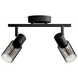 Philips Palms 8720169299290 stropní lampa E14 50 W černá