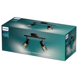 Philips Palms 8720169299290 stropní lampa E14 50 W černá