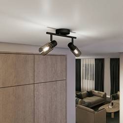 Philips Palms 8720169299290 stropní lampa E14 50 W černá
