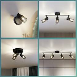 Philips Palms 8720169299290 stropní lampa E14 50 W černá