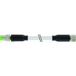 Murrelektronik 7000-88011-2310500 upravený zástrčkový konektor pro senzory - aktory M8 x 1 zástrčka, rovná, zásuvka, rovná 5.00 m Počet pólů: 4 1 ks