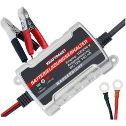 Dino KRAFTPAKET 136303 nabíječka autobaterie, 0.75 A, 0.75 A