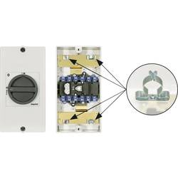 Kraus & Naimer KG20B.T106/D-A046.KL11V servisní vypínač odblokovatelný 1 x 90 ° černá 1 ks
