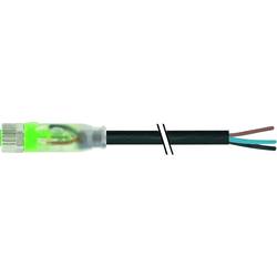 Murrelektronik neupravený zástrčkový konektor pro senzory - aktory, 7000-08111-6300500, piny: 3, 5.00 m, 1 ks