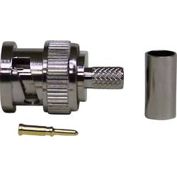 TRU COMPONENTS 735205 BNC konektor zástrčka, rovná 50 Ω 1 ks