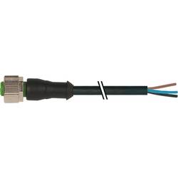 Murrelektronik neupravený zástrčkový konektor pro senzory - aktory, 7000-12181-6130500, piny: 3, 5.00 m, 1 ks