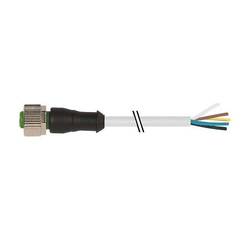 Murrelektronik neupravený zástrčkový konektor pro senzory - aktory, 7000-19041-3011000, piny: 12, 10.00 m, 1 ks