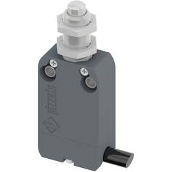 Pizzato Elettrica NF B110EB-DN2 NF B110EB-DN2 koncový spínač 250 V/AC 4 A zdvihátko bez aretace IP67 1 ks