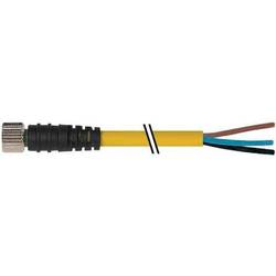 Murrelektronik 7000-08041-2301000 neupravený zástrčkový konektor pro senzory - aktory M8 x 1 zásuvka, rovná 10.00 m Počet pólů: 3 1 ks