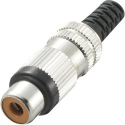 TRU COMPONENTS 595235 cinch konektor zásuvka, rovná Pólů: 2 červená 1 ks