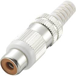 TRU COMPONENTS 719405 cinch konektor zásuvka, rovná Pólů: 2 žlutá 1 ks