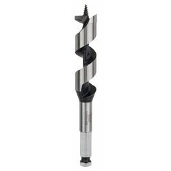 Bosch Accessories 2608585706 hadovitý vrták 22 mm Celková délka 160 mm šestihran 1 ks