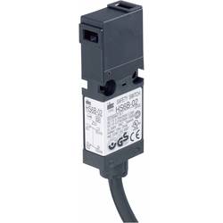 Idec HS6B-11B01-SET HS6B-11B01-SET bezpečnostní spínač 250 V/AC 3 A rovná kovová páka, zahnutá kovová páka bez aretace IP67 1 ks