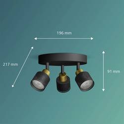 Philips Niall 8720169300156 stropní lampa GU10 105 W černá, zlatá