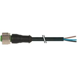 Murrelektronik 7000-12221-6340200 neupravený zástrčkový konektor pro senzory - aktory M12 x 1 zásuvka, rovná 2.00 m Počet pólů: 4 1 ks