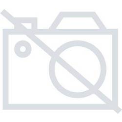 Transcend TS3200HSE-32G Modul RAM pro PC GB TS3200HSE-32G