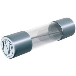 Püschel Feinsicherungen FST0,8B FST0,8B trubičková pojistka (Ø x d) 5 mm x 20 mm 0.8 A 250 V T pomalá Množství 10 ks