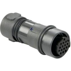 Bulgin PXP6011/03P/ST kulatý faston, 1 ks