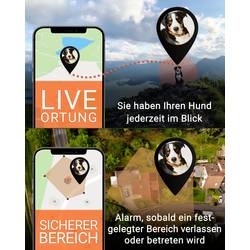 PAJ GPS PET Finder 4G GSM tracker - lokalizační čip lokalizace domácích zvířat 1 ks