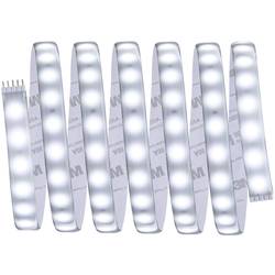 Paulmann 70548 LED pásek zástrčky/zásuvka 24 V 2.5 m denní bílá 2.5 m