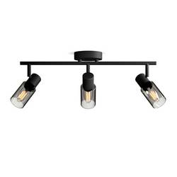 Philips Palms 8720169299313 stropní lampa E14 černá