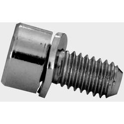 Striebel & John ZX258P10 2CPX062496R9999 šrouby s válcovou hlavou 6 mm 12 mm vnější šestihran ocel pozinkované 10 ks