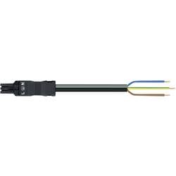 WAGO síťový připojovací kabel síťová zástrčka - kabel s otevřenými konci Počet kontaktů: 2 + PE černá 1 ks