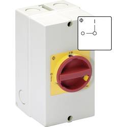 Kraus & Naimer KG20B.T206/40.KL11V servisní vypínač odblokovatelný 25 A 1 x 90 ° červená, žlutá 1 ks