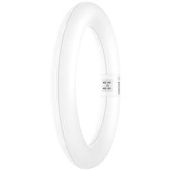 OSRAM HOMELIGHTING LED trubice Energetická třída (EEK2021): E (A - G) G10q kruhová zářivka 11 W = 22 W studená bílá (Ø x d) 312 mm x 212 mm 1 ks