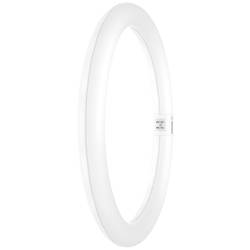 OSRAM HOMELIGHTING LED trubice Energetická třída (EEK2021): E (A - G) G10q kruhová zářivka KVG 18.3 W = 32 W neutrální bílá (Ø x d) 300 mm x 300 mm 1 ks