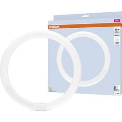 OSRAM HOMELIGHTING LED trubice Energetická třída (EEK2021): E (A - G) G10q kruhová zářivka 18.3 W = 32 W neutrální bílá (Ø x d) 300 mm x 300 mm 1 ks