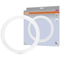 OSRAM HOMELIGHTING LED trubice Energetická třída (EEK2021): E (A - G) G10q kruhová zářivka 18.3 W = 32 W neutrální bílá (Ø x d) 300 mm x 300 mm 1 ks