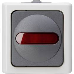 Kopp 561656007 spínání ve vlhkých místnostech kompletní sada kontrolní spínač BlueElectric šedá 1 ks