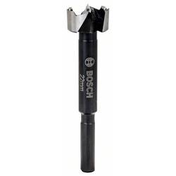 Bosch Accessories 2608577007 Foersterův vrták, čelní fréza 22 mm 1 ks