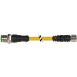 Murrelektronik upravený zástrčkový konektor pro senzory - aktory, 7000-40561-2100030, piny: 3, 0.30 m, 1 ks