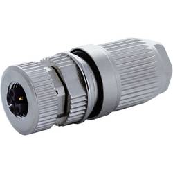 Murrelektronik neupravený zástrčkový konektor pro senzory - aktory, 7000-P4421-0000000, piny: 5, 1 ks