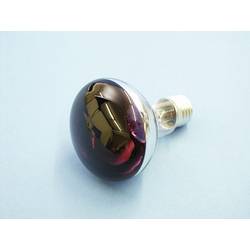 Eurolite 9210440U žárovka E27 žárovka 60 W fialová (Ø x d) 80 mm x 110 mm 1 ks