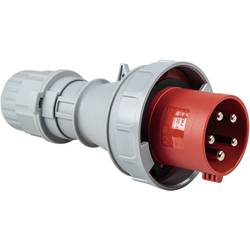 AS Schwabe 60423 60423 CEE zástrčka, 63 A, 5pólová, 400 V, 1 ks