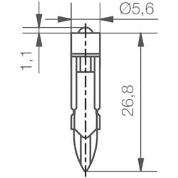 Signal Construct indikační LED T5.5 k bílá 24 V/DC 2000 mcd 428 mlm MED5564