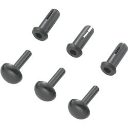 TRU COMPONENTS TC-SRR-380K203, TC-10820816 rozpínací nýt, 3 mm, polyamid, 1000 ks