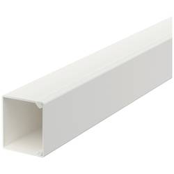 OBO Bettermann 6191096 kabelová lišta (d x š x v) 2000 x 30 x 30 mm 1 ks čistě bílá